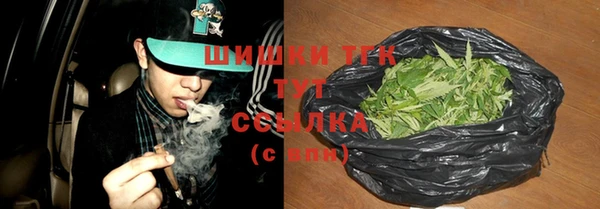 ECSTASY Няндома