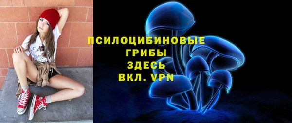 крисы Новодвинск